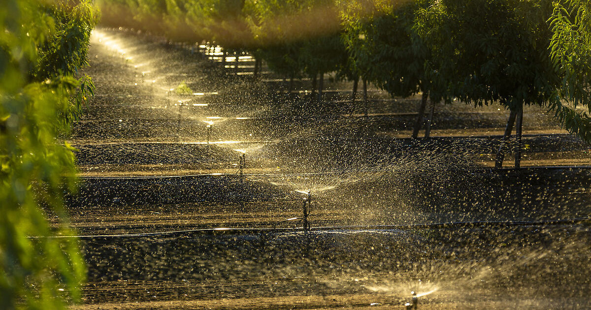 Spinners & Sprays for Agricultural Irrigation Tree & Vine Applications